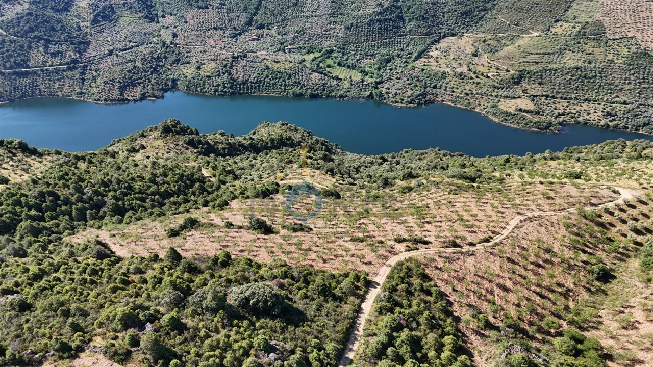 Terreno Agricola ou Rústico para Venda em Vilar Chão Foto 2