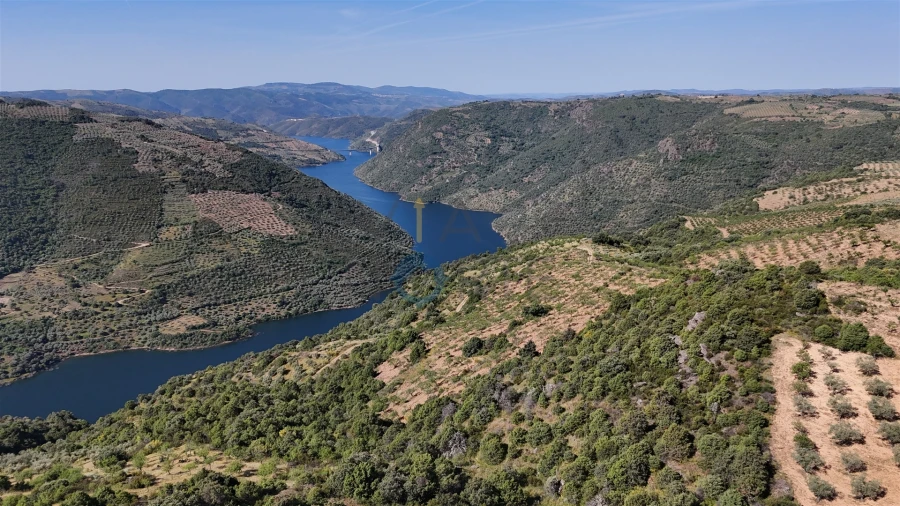 Terreno Agricola ou Rústico para Venda em Vilar Chão Foto 4