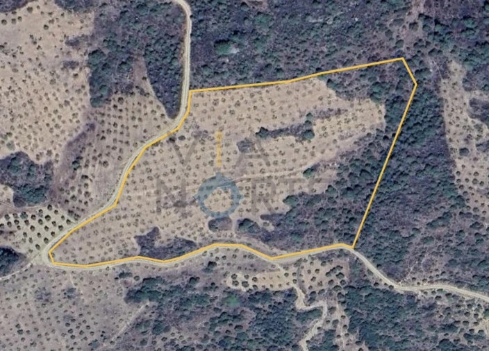 Terreno Agricola ou Rústico para Venda em Vilar Chão