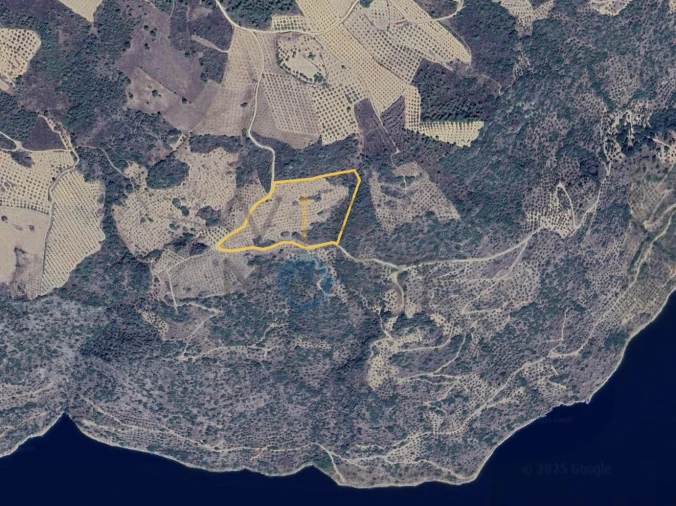 Terreno Agricola ou Rústico para Venda em Vilar Chão Foto 2