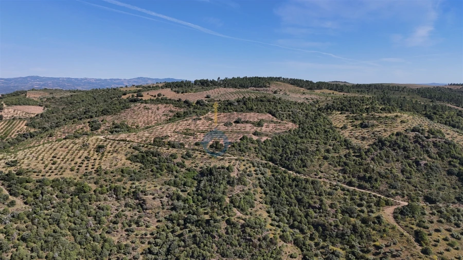 Terreno Agricola ou Rústico para Venda em Vilar Chão Foto 7