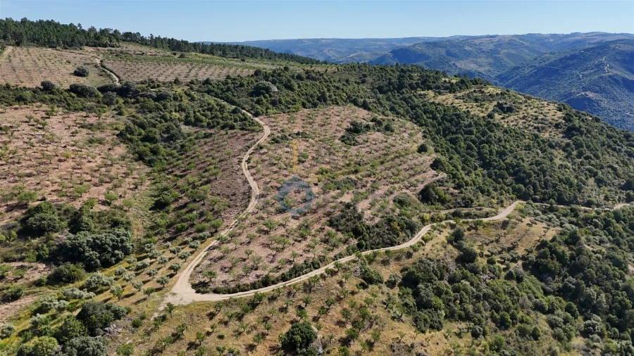 Terreno Agricola ou Rústico para Venda em Vilar Chão Foto 8