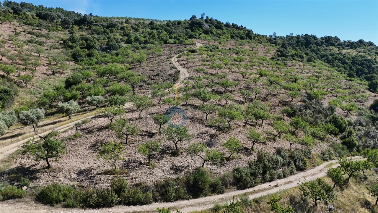 Terreno Agricola ou Rústico para Venda em Vilar Chão Foto 9