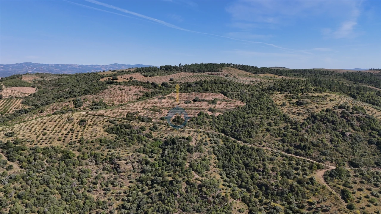 Terreno Agricola ou Rústico para Venda em Vilar Chão Foto 7