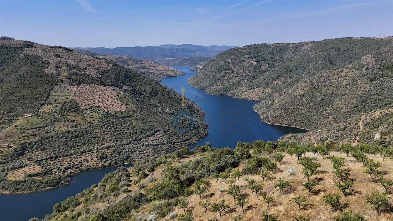 Terreno Agricola ou Rústico para Venda em Vilar Chão Foto 11