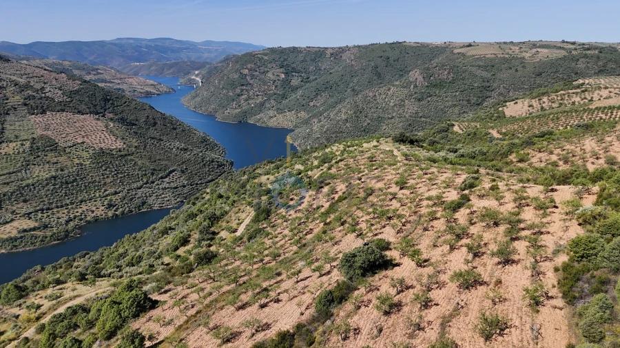 Terreno Agricola ou Rústico para Venda em Vilar Chão