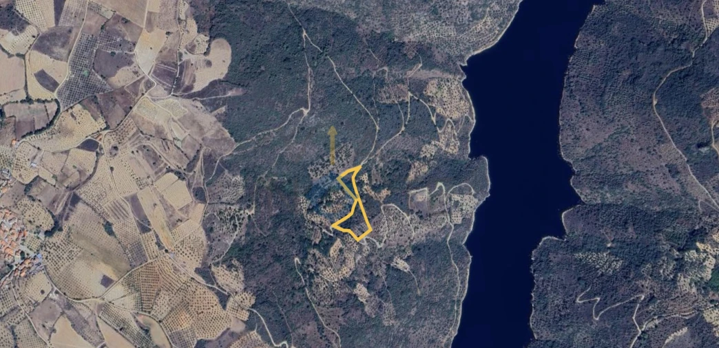 Terreno Agricola ou Rústico para Venda em Parada e Sendim da Ribeira Foto 2