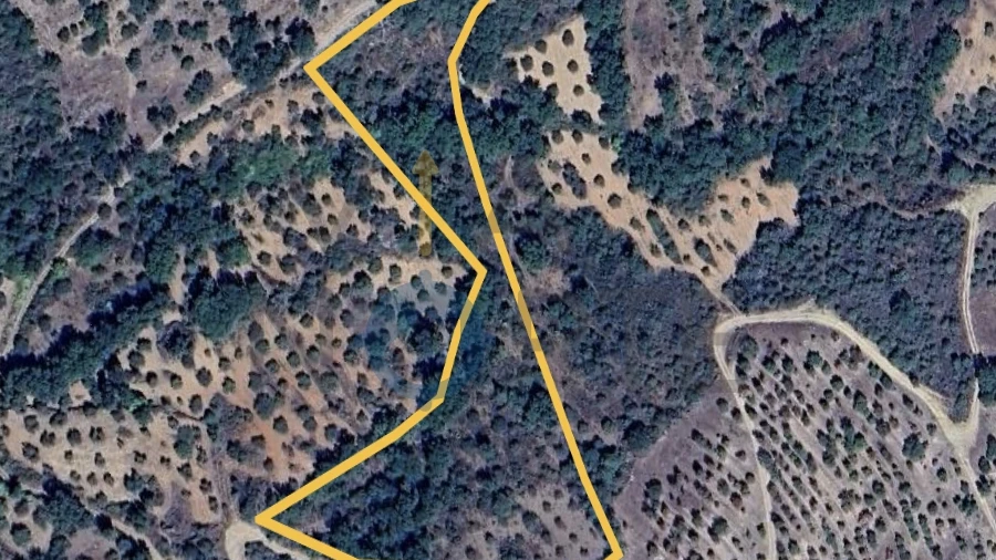 Terreno Agricola ou Rústico para Venda em Parada e Sendim da Ribeira