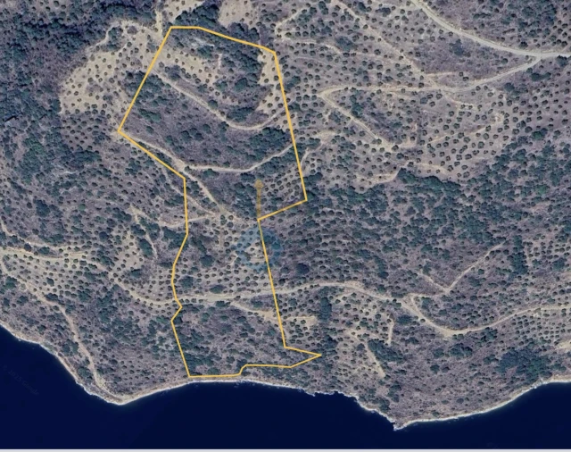 Terreno Agricola ou Rústico para Venda em Vilar Chão Foto 3