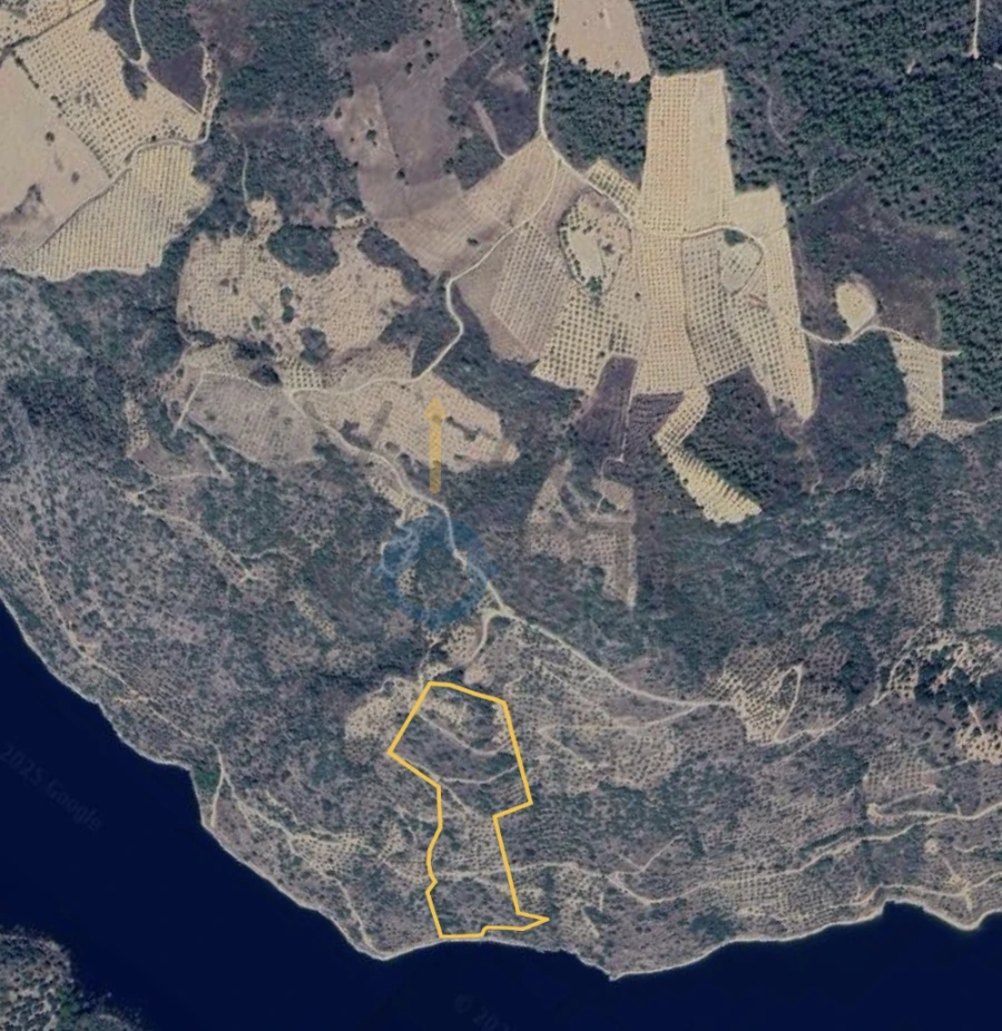 Terreno Agricola ou Rústico para Venda em Vilar Chão Foto 2