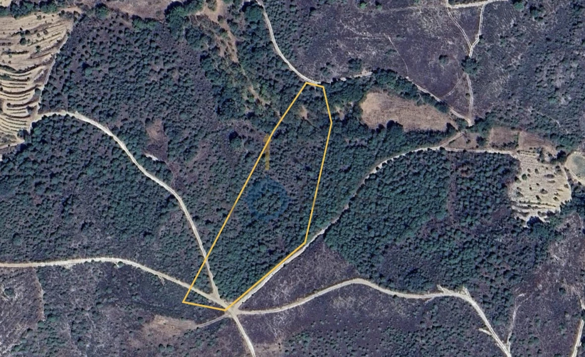 Terreno Agricola ou Rústico para Venda em Parada e Sendim da Ribeira Foto 1