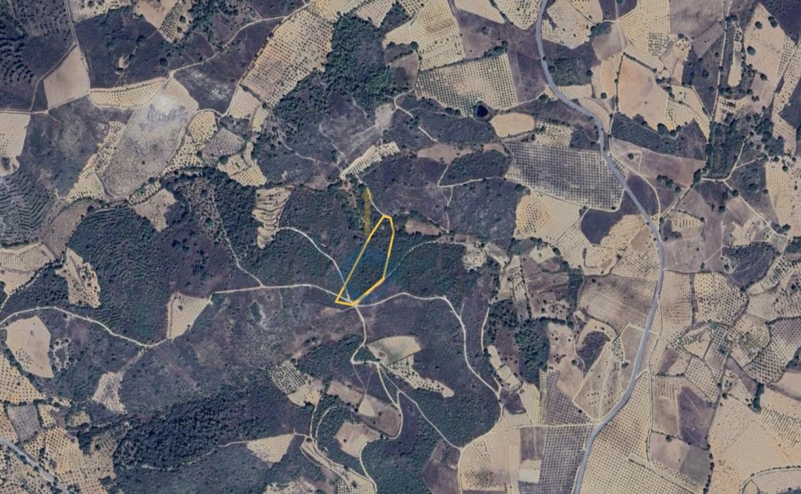 Terreno Agricola ou Rústico para Venda em Parada e Sendim da Ribeira Foto 2