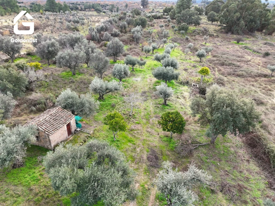 Quinta T0 para Venda em São Miguel de Acha Foto 3