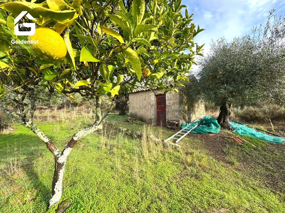 Quinta T0 para Venda em São Miguel de Acha Foto 1