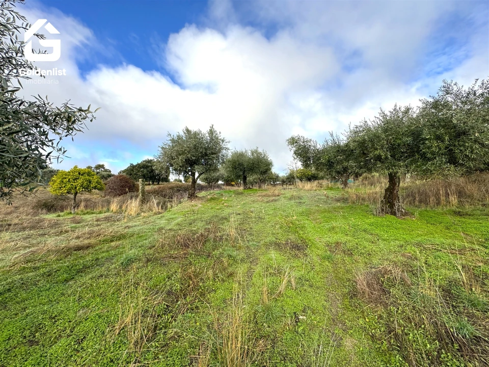 Quinta T0 para Venda em São Miguel de Acha Foto 29