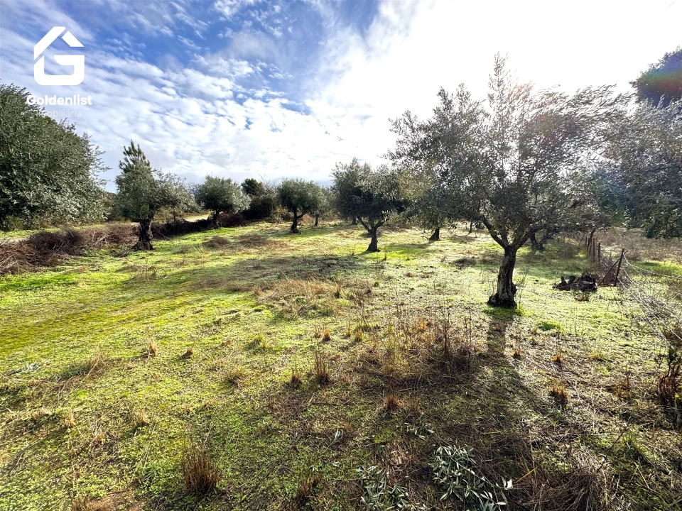 Quinta T0 para Venda em São Miguel de Acha Foto 21