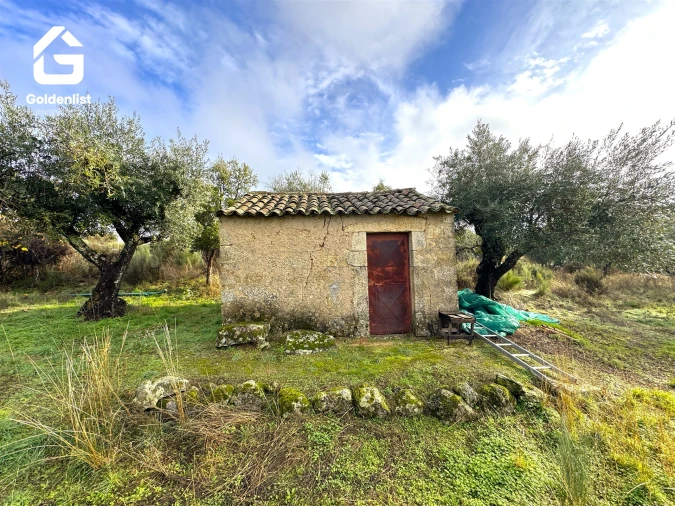 Quinta T0 para Venda em São Miguel de Acha Foto 6