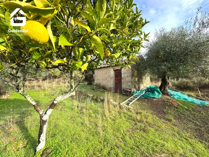 Quinta T0 para Venda em São Miguel de Acha Foto 1