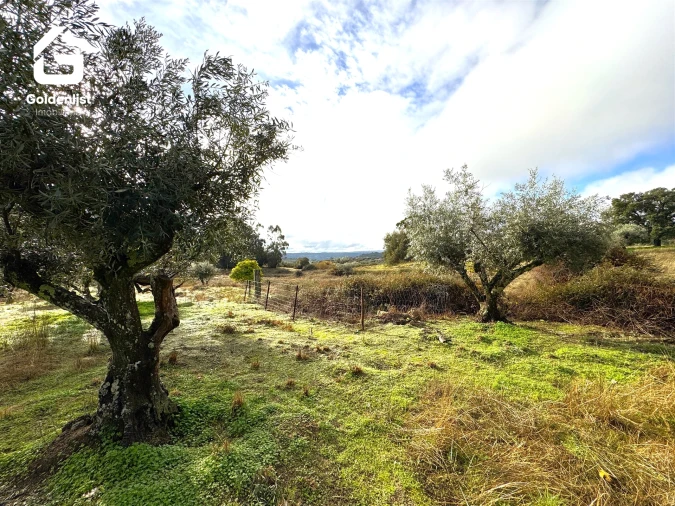 Quinta T0 para Venda em São Miguel de Acha Foto 26
