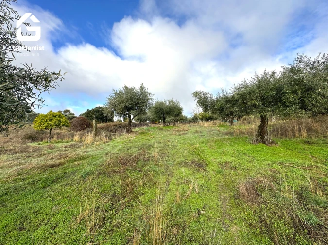 Quinta T0 para Venda em São Miguel de Acha Foto 29