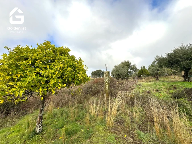 Quinta T0 para Venda em São Miguel de Acha Foto 33