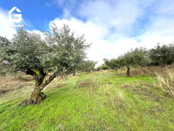 Quinta T0 para Venda em São Miguel de Acha Foto 30