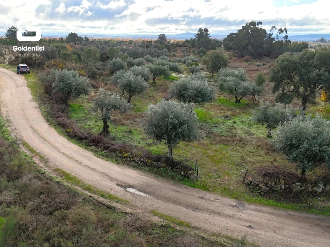 Quinta T0 para Venda em São Miguel de Acha Foto 17