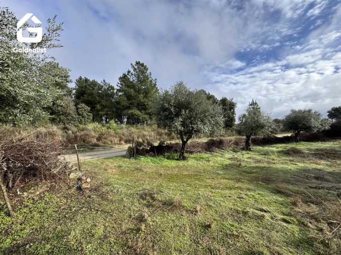 Quinta T0 para Venda em São Miguel de Acha Foto 22