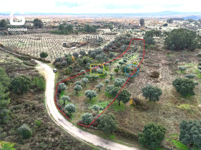 Quinta T0 para Venda em São Miguel de Acha Foto 15