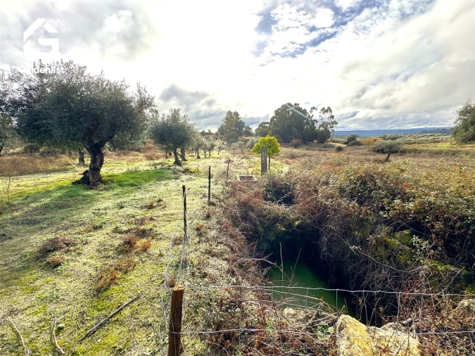 Quinta T0 para Venda em São Miguel de Acha Foto 27