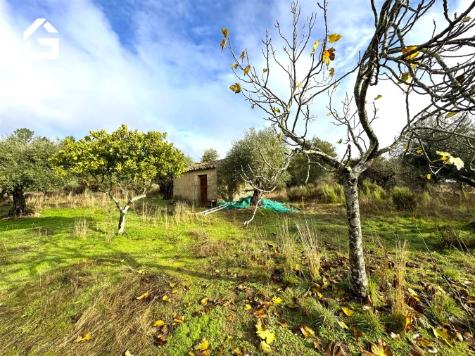 Quinta T0 para Venda em São Miguel de Acha Foto 25