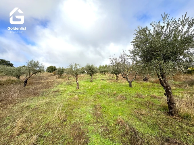 Quinta T0 para Venda em São Miguel de Acha Foto 31