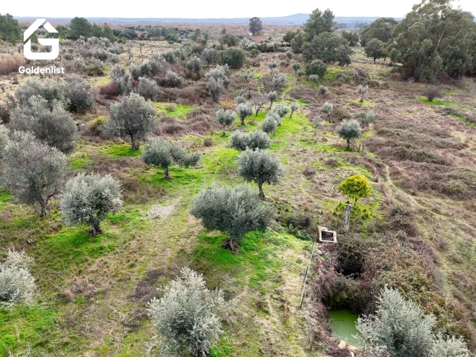 Quinta T0 para Venda em São Miguel de Acha Foto 19