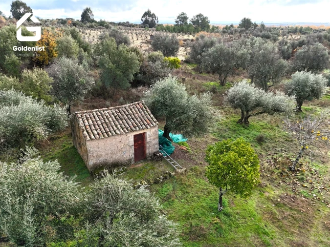 Quinta T0 para Venda em São Miguel de Acha Foto 2