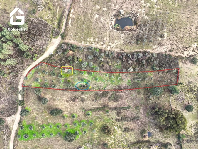 Quinta T0 para Venda em São Miguel de Acha Foto 20