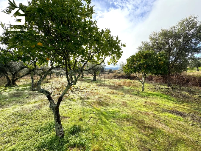 Quinta T0 para Venda em São Miguel de Acha Foto 24