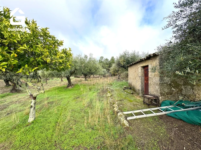 Quinta T0 para Venda em São Miguel de Acha Foto 7