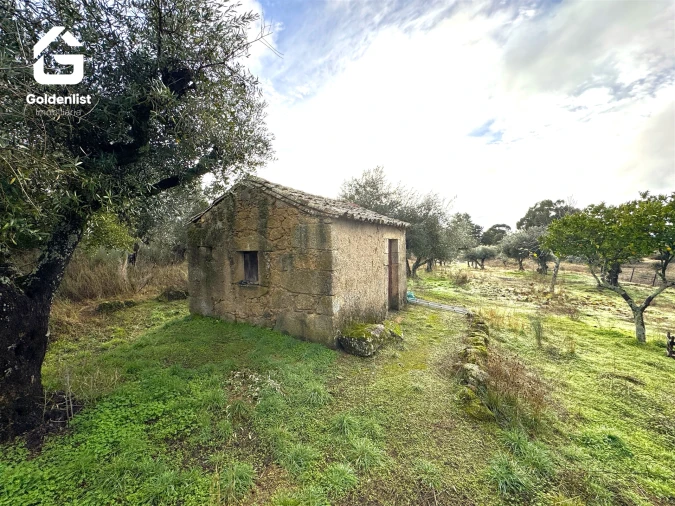 Quinta T0 para Venda em São Miguel de Acha Foto 9