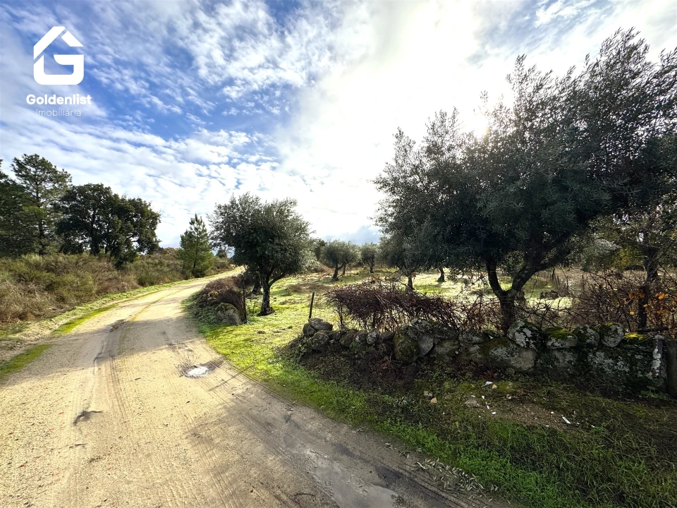 Quinta T0 para Venda em São Miguel de Acha Foto 11