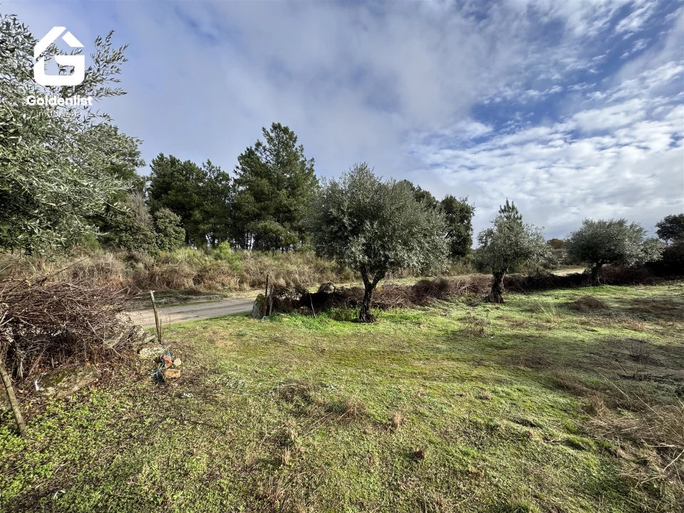 Quinta T0 para Venda em São Miguel de Acha Foto 22