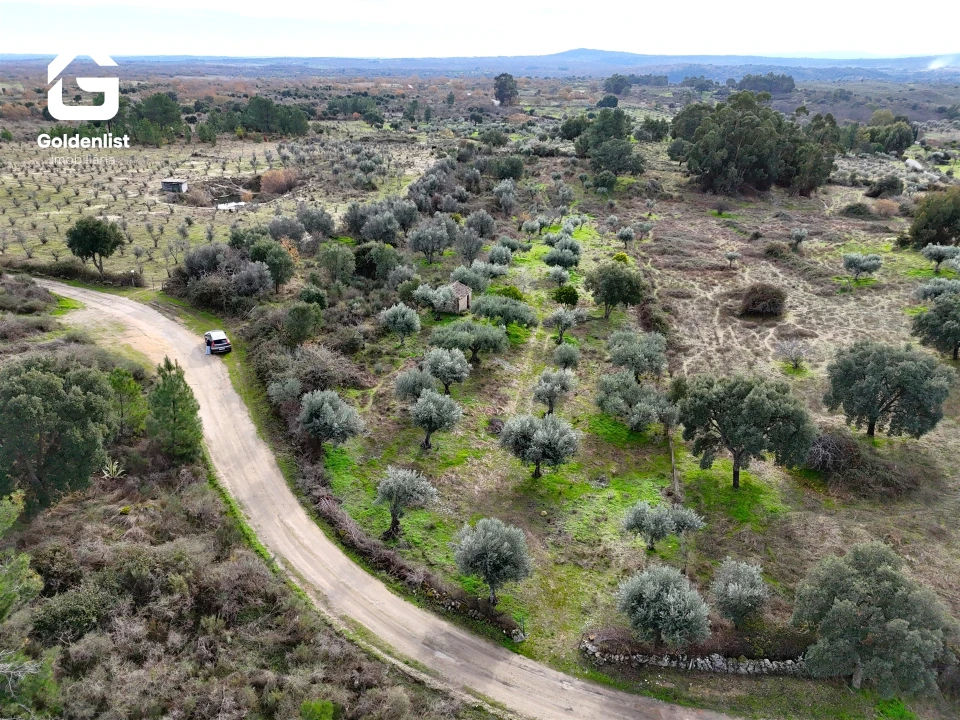 Quinta T0 para Venda em São Miguel de Acha Foto 10