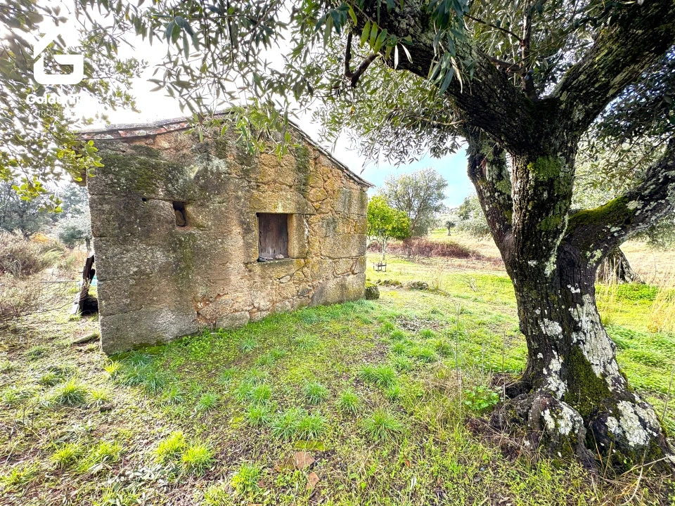 Quinta T0 para Venda em São Miguel de Acha Foto 5