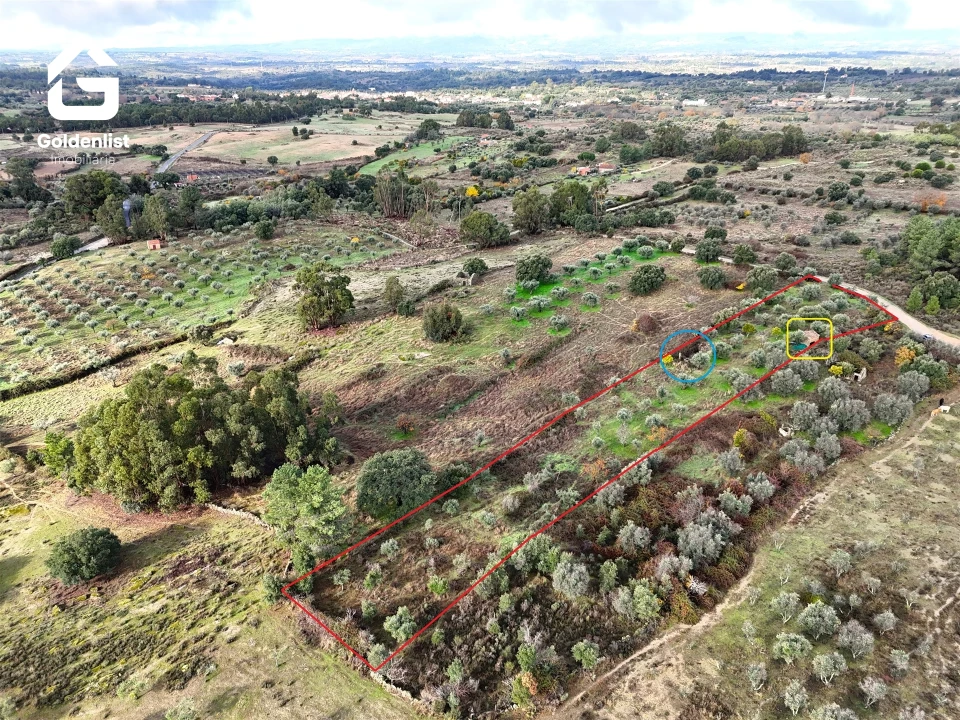 Quinta T0 para Venda em São Miguel de Acha Foto 16