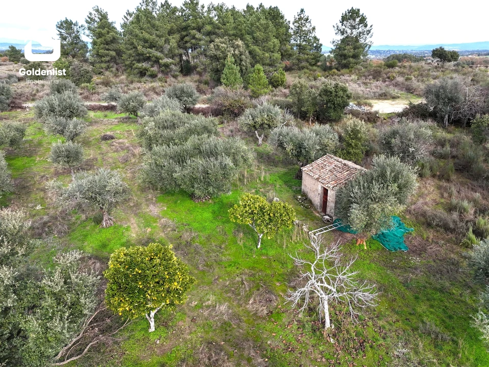 Quinta T0 para Venda em São Miguel de Acha Foto 4