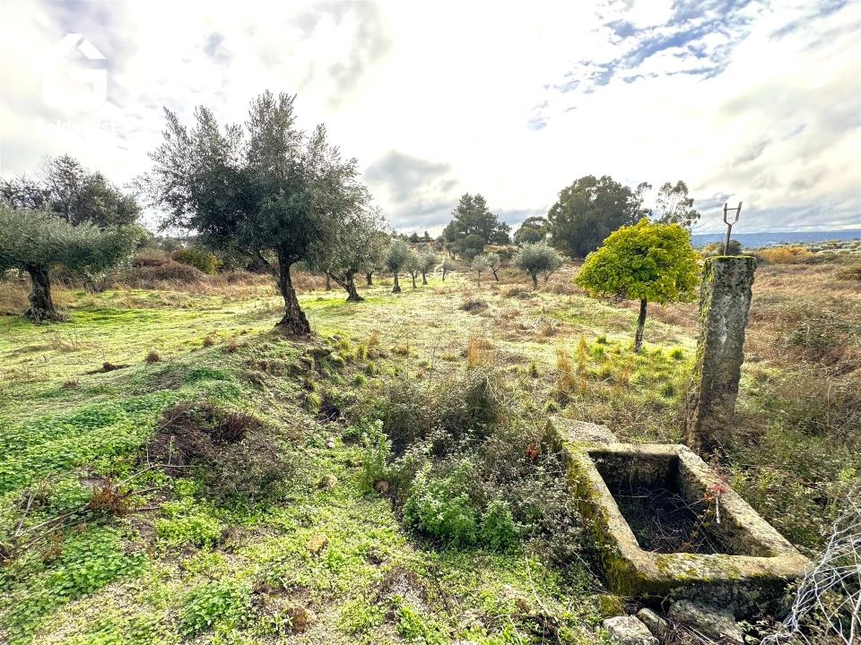 Quinta T0 para Venda em São Miguel de Acha Foto 28