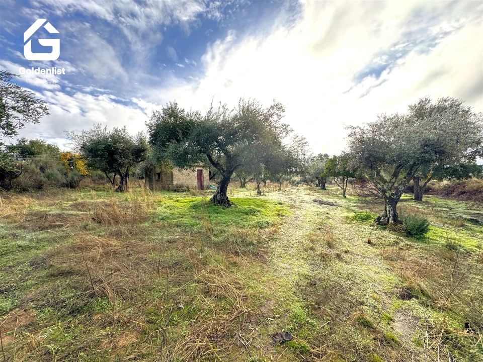 Quinta T0 para Venda em São Miguel de Acha Foto 23
