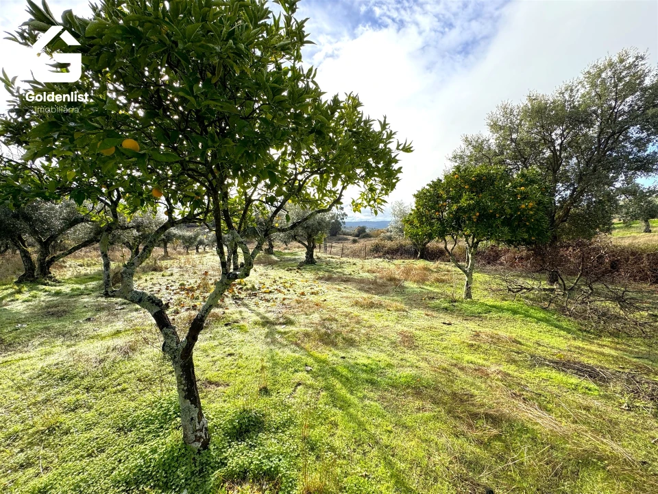 Quinta T0 para Venda em São Miguel de Acha Foto 24