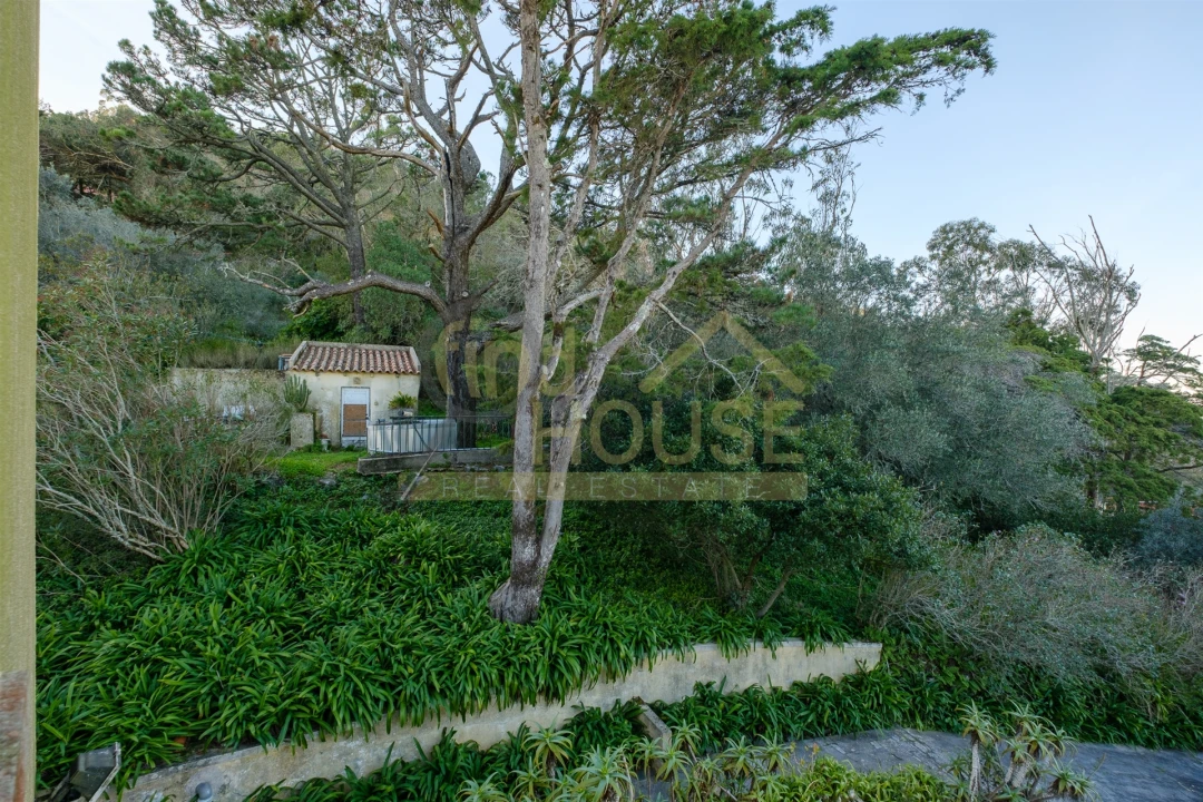Quinta T9 para Venda em Santa Maria e São Miguel, São Martinho, São Pedro Penaferrim Foto 56