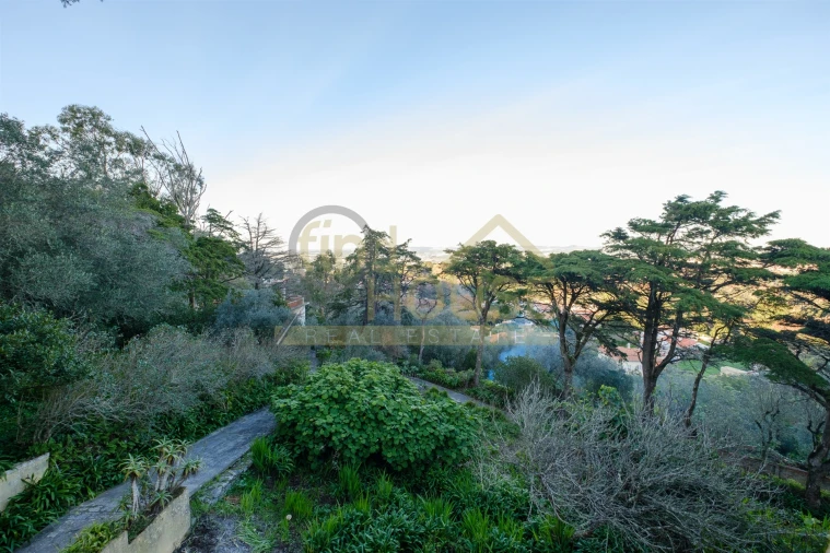 Quinta T9 para Venda em Santa Maria e São Miguel, São Martinho, São Pedro Penaferrim Foto 55