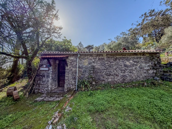 Quinta T9 para Venda em Santa Maria e São Miguel, São Martinho, São Pedro Penaferrim Foto 61